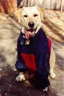 Simba in her winter coat